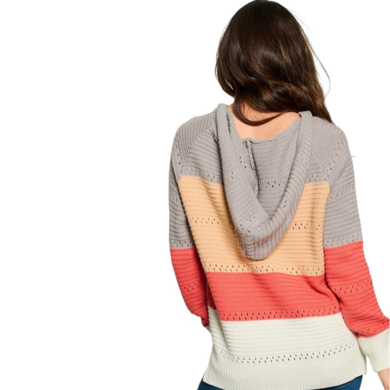 Pull à capuche manches longues