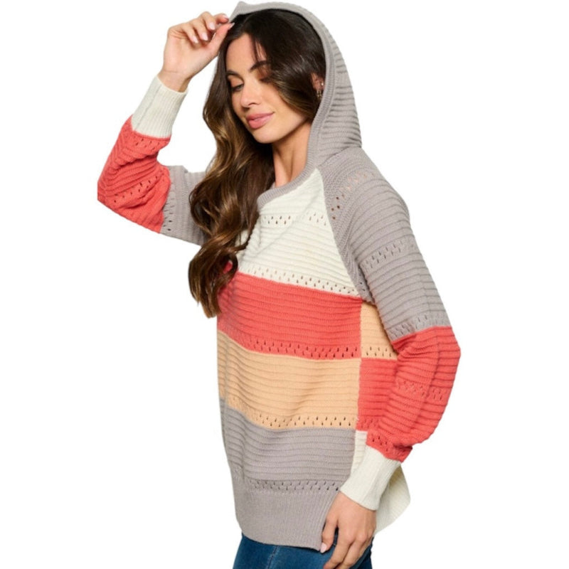 Pull à capuche manches longues